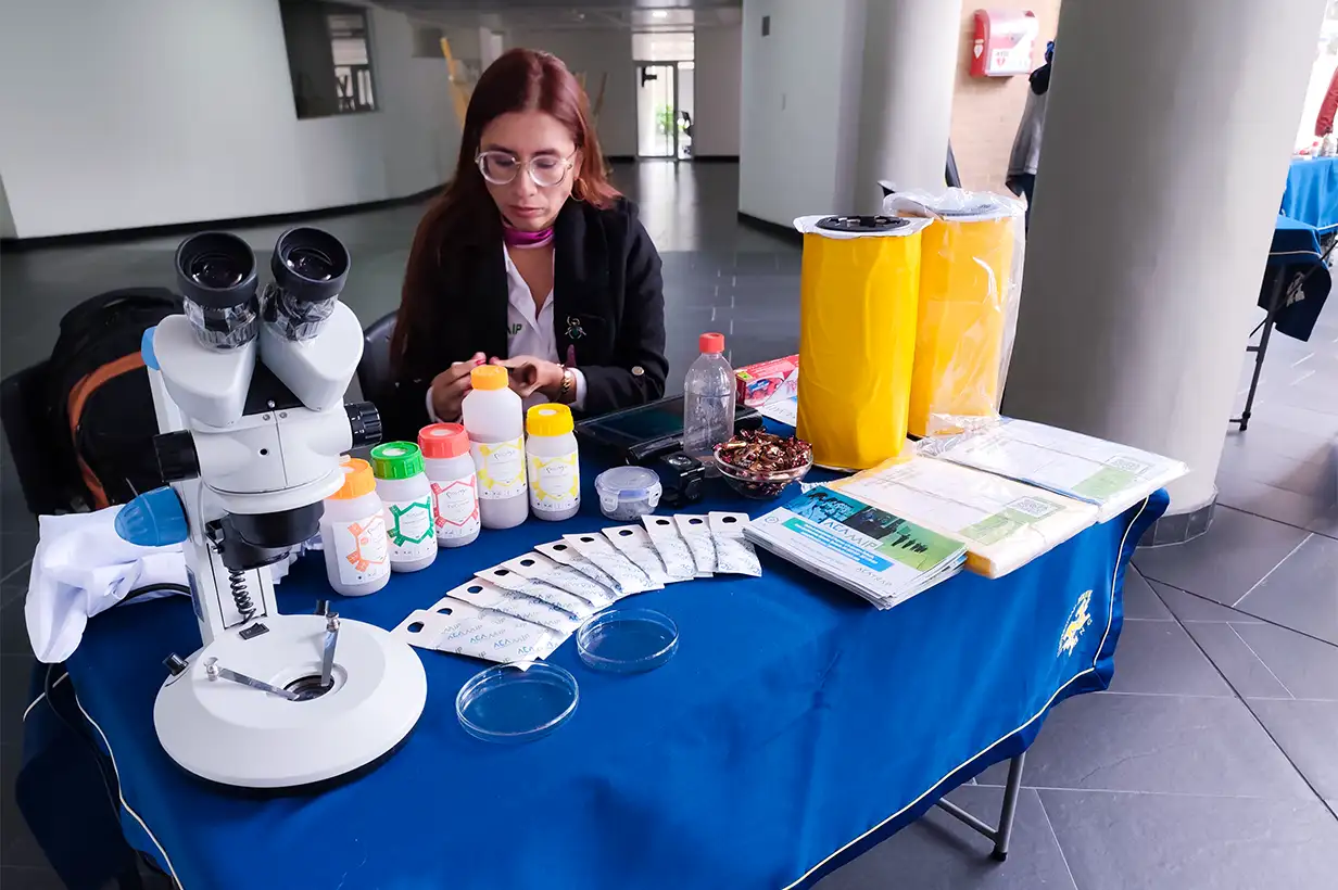 ACAMIP ofreciendo asesoría sobre manejo integrado de plagas en Ceniflores